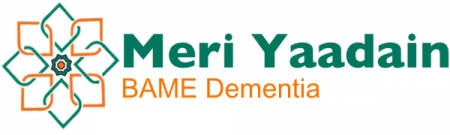 Meri Yaadain logo